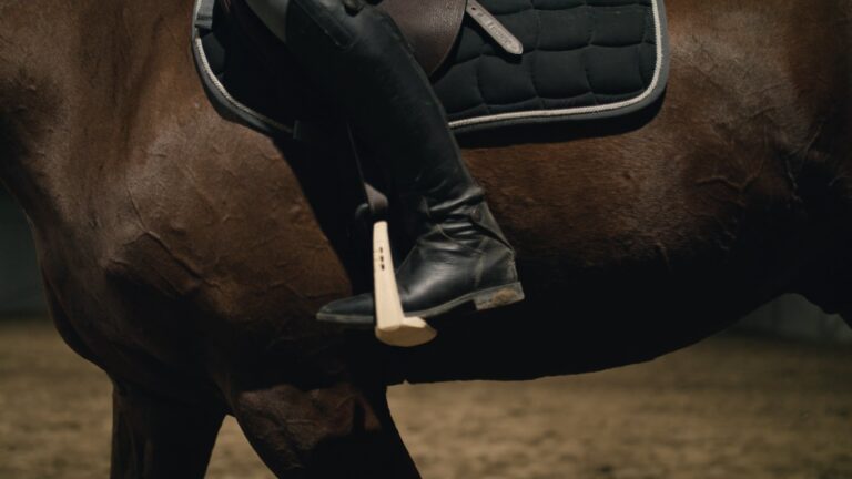 Closeup of foot in a stirrup